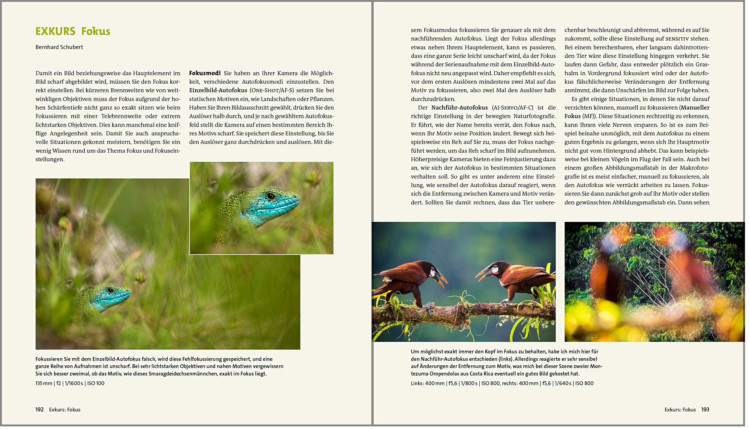 Fotografieren In Der Natur Projekte Motivideen Und Fototipps Alle Facetten Der Naturfotografie Eggert Daniel Ford Mark James Hasubek Uwe Jakubowski Radomir Koster David Mondon Ines Schubert Bernhard 9783836268127 Amazon Com Books