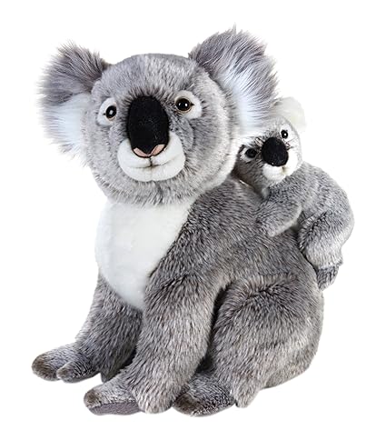 koala peluche ty