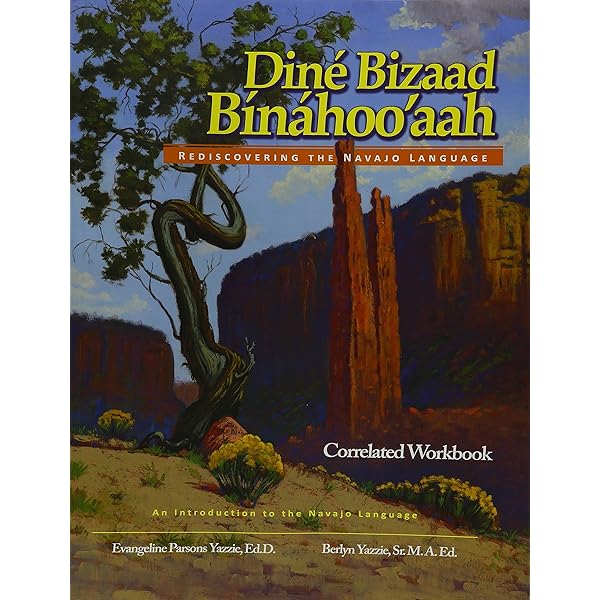 Amazon.com: Dine Bizaad Binahoo'aah: Rediscovering the Navajo