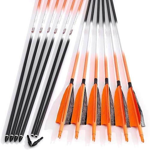 Removable Point Example Linkboy Archery Carbon Arrows Hunting Practice Target Removable Points