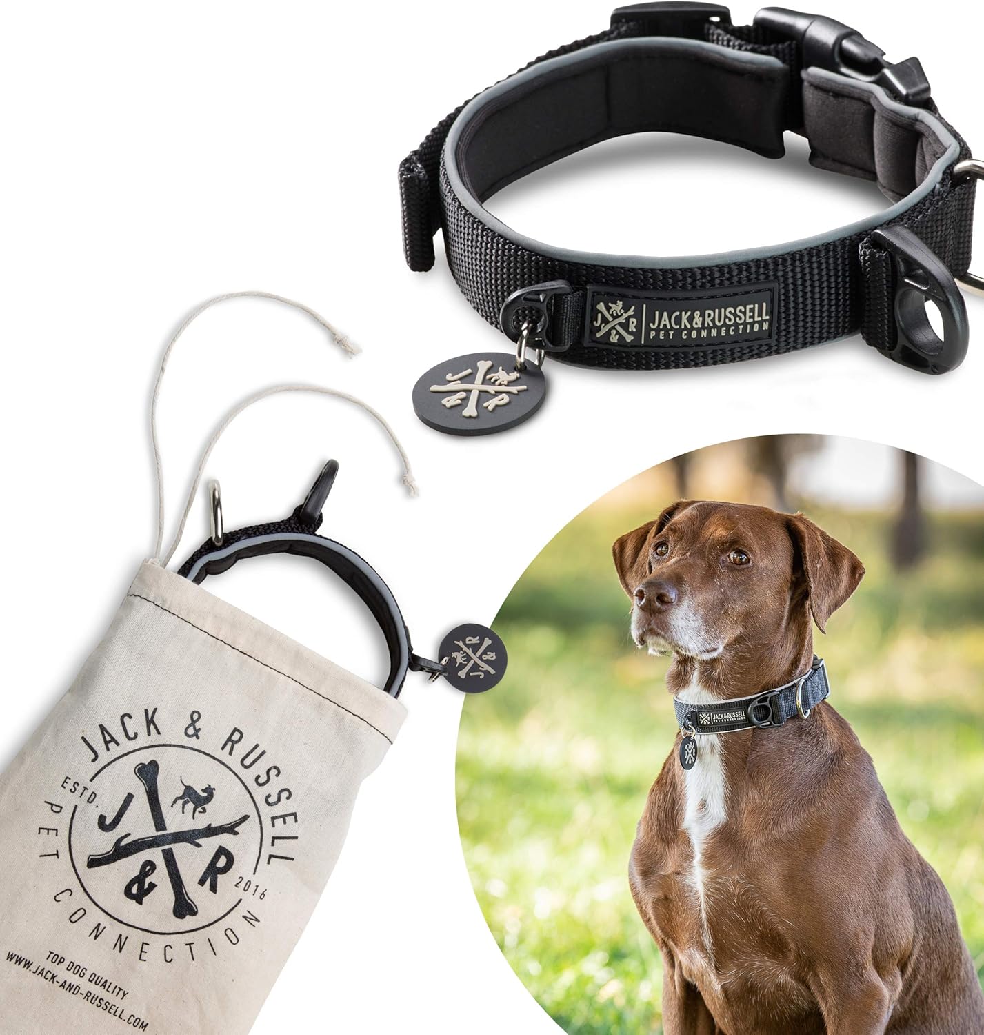 Jack & Russell Dog collar Luna neoprene padded and reflective Premium