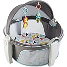 Fisher-Price On-the-Go Baby Dome, Windmill