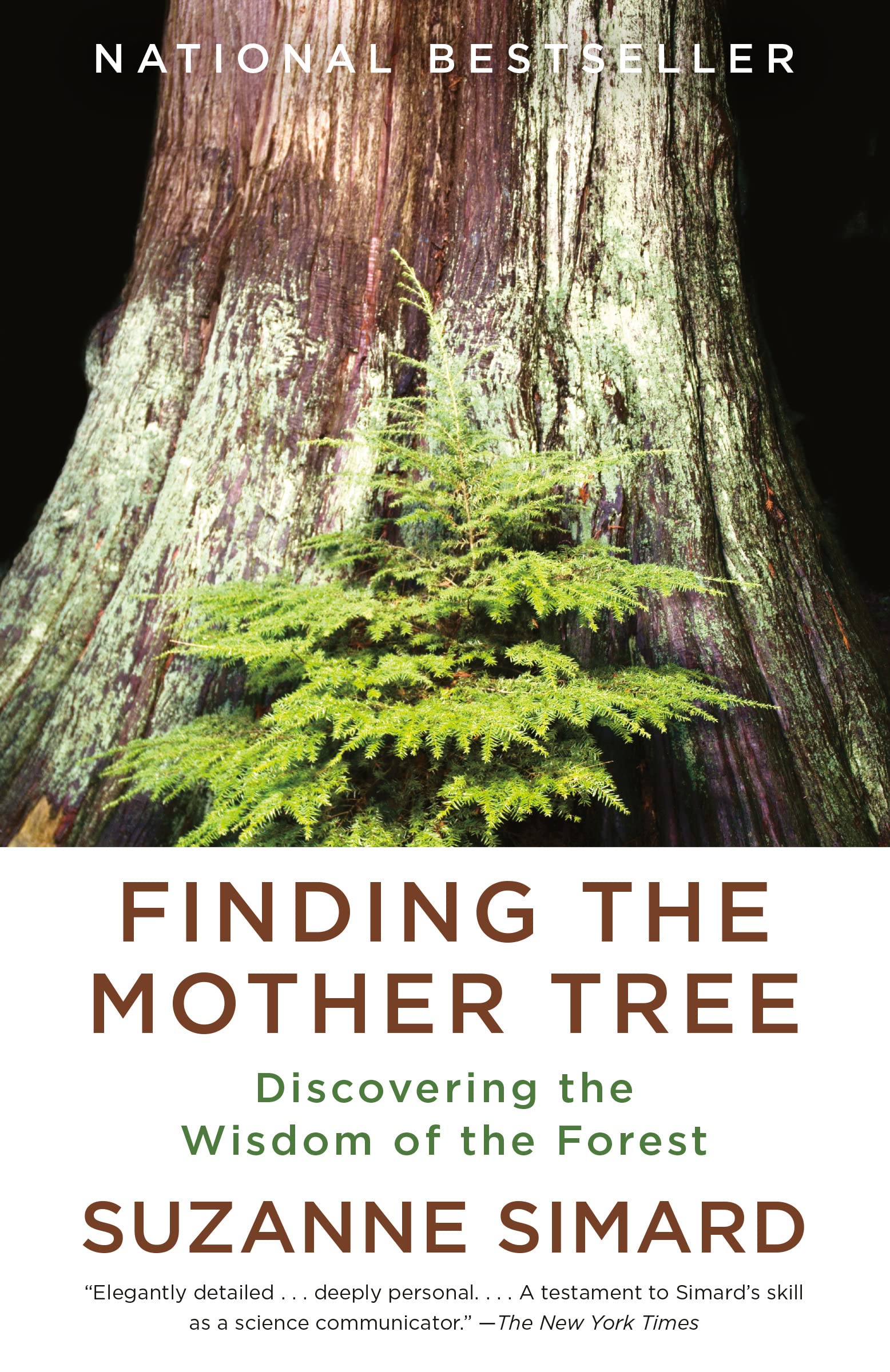 Finding the Mother Tree: Discovering the Wisdom of
