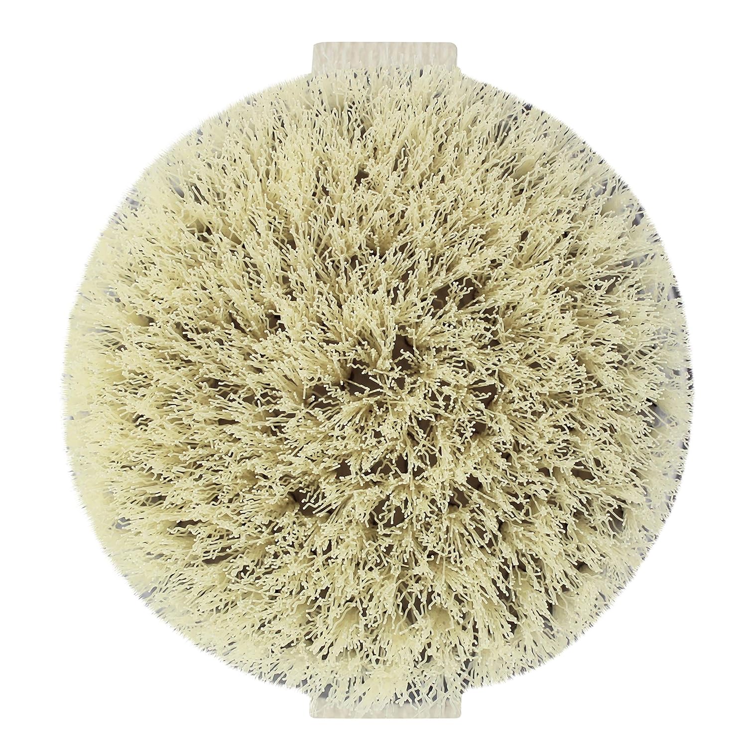 EcoTools Gentle Pore Cleansing Face Brush, Scrubber For Facial Skincare and Beauty, Great for Sensitive Skin: Beauty