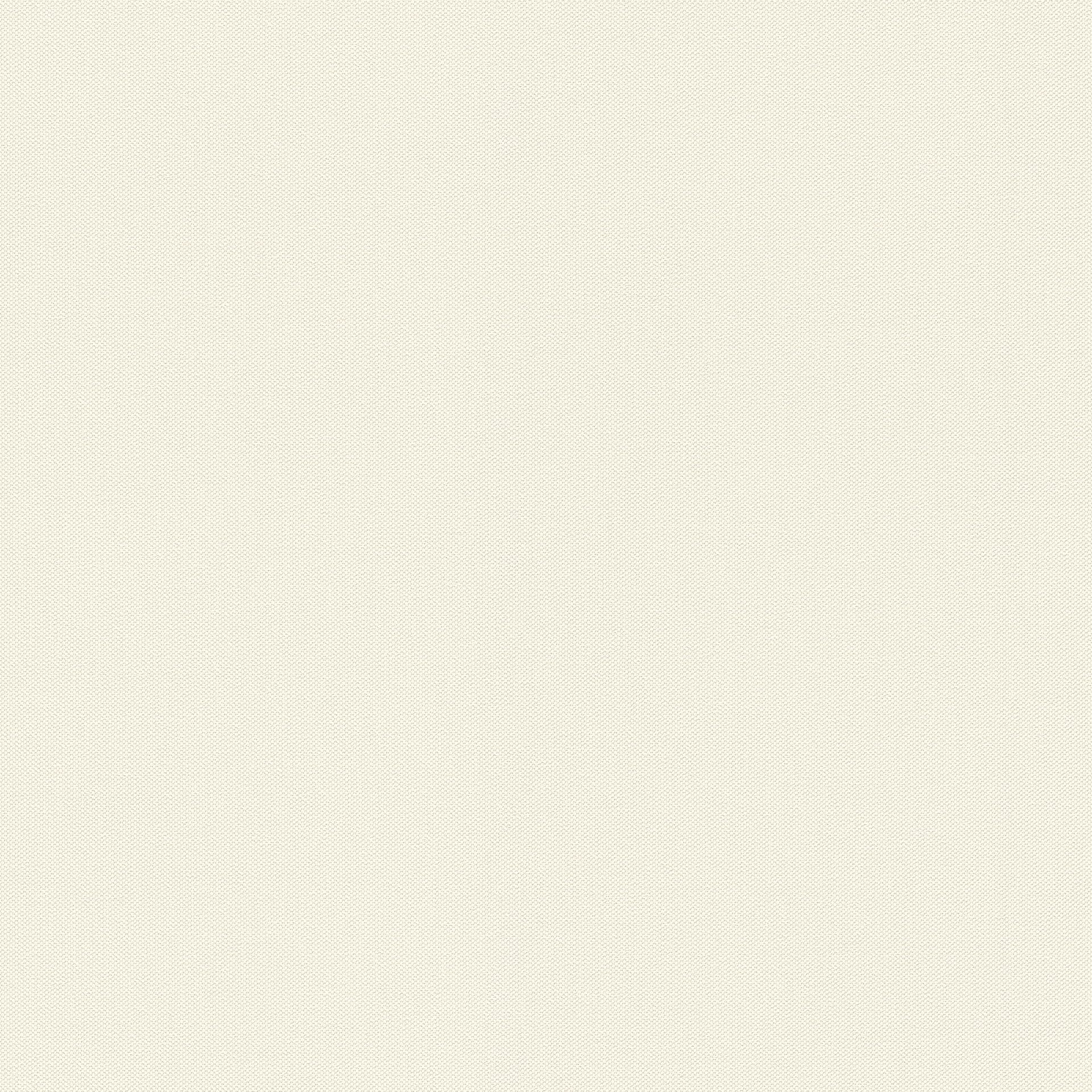 Rasch Tapeten Vliestapete (Universell) Creme White 10, 05 m x 0, 53 m Poetry 424010