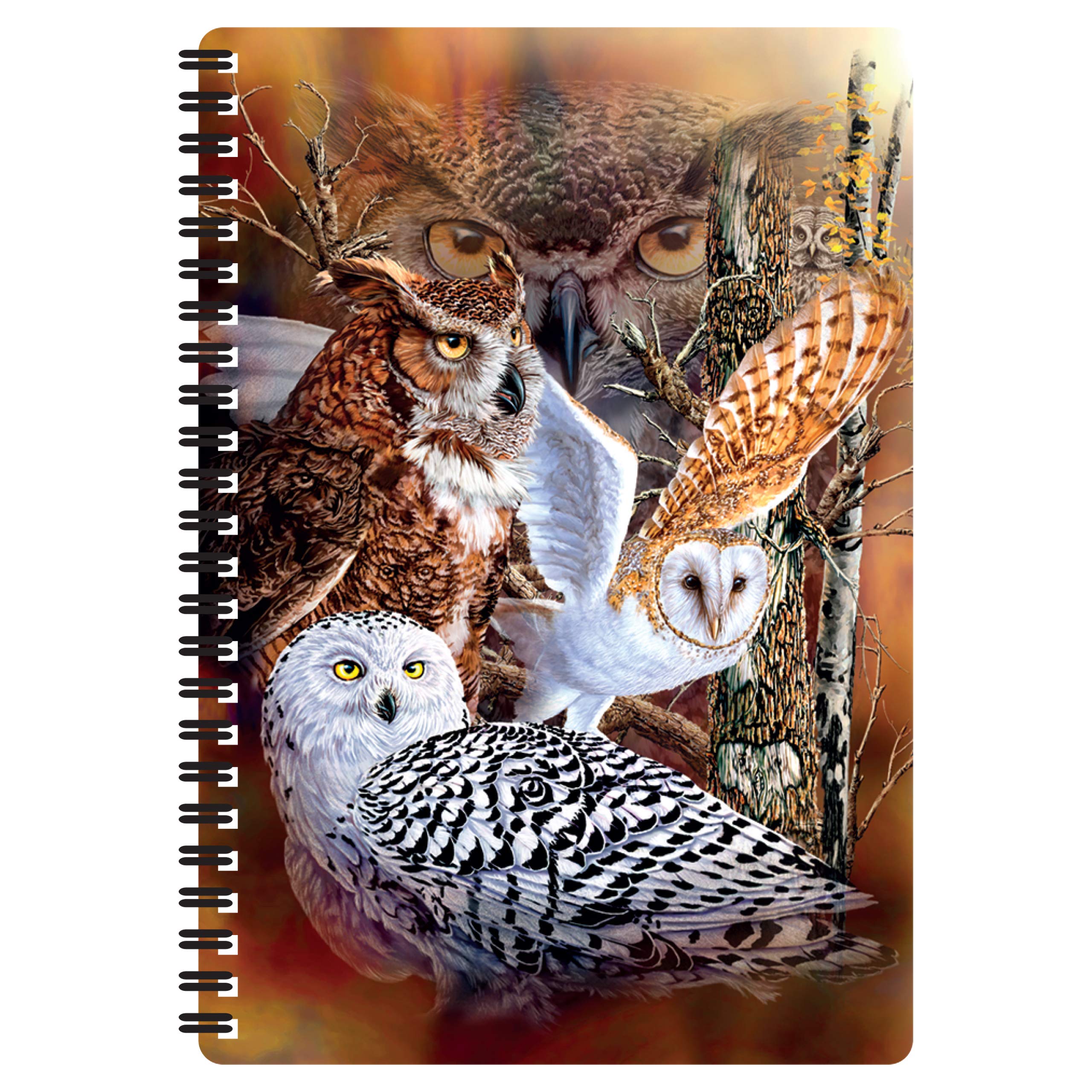 3D LiveLife A5 Notebook - Owl Woods from Deluxebase. Spiral Bound Lined Notebook with 80 Recycled Pages, 3D Owl Art Notebooks for Work, Gifts and School Supplies, (21 x 14.5 cm).