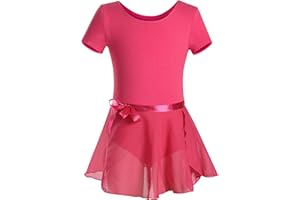 DANSHOW Girls Glitter Leotards for Ballet Dance Dress with Tutu Skirt Petal Sleeve