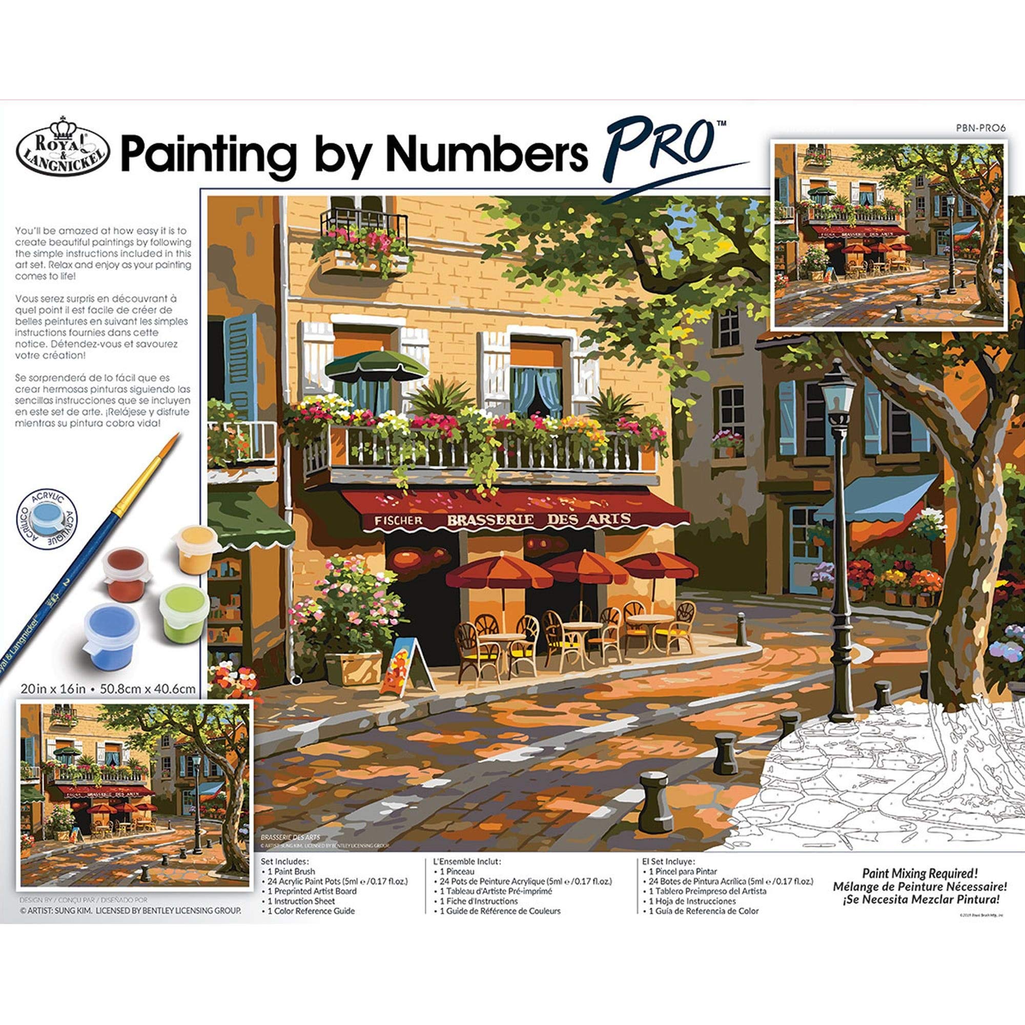 Royal & Langnickel PBN PRO Set-Brasserie DES Arts