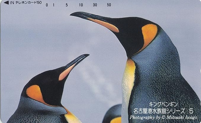Amazon Co Jp テレホンカード テレカ キングペンギン 名古屋港水族館シリーズ 5 50度数 ホビー 通販