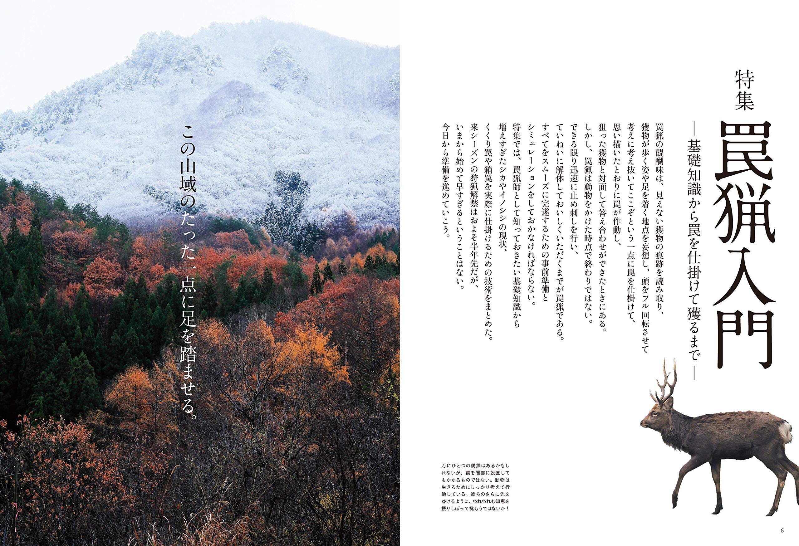狩猟生活 2020vol 6 罠猟入門 別冊山と溪谷 山と溪谷社 本 通販 Amazon