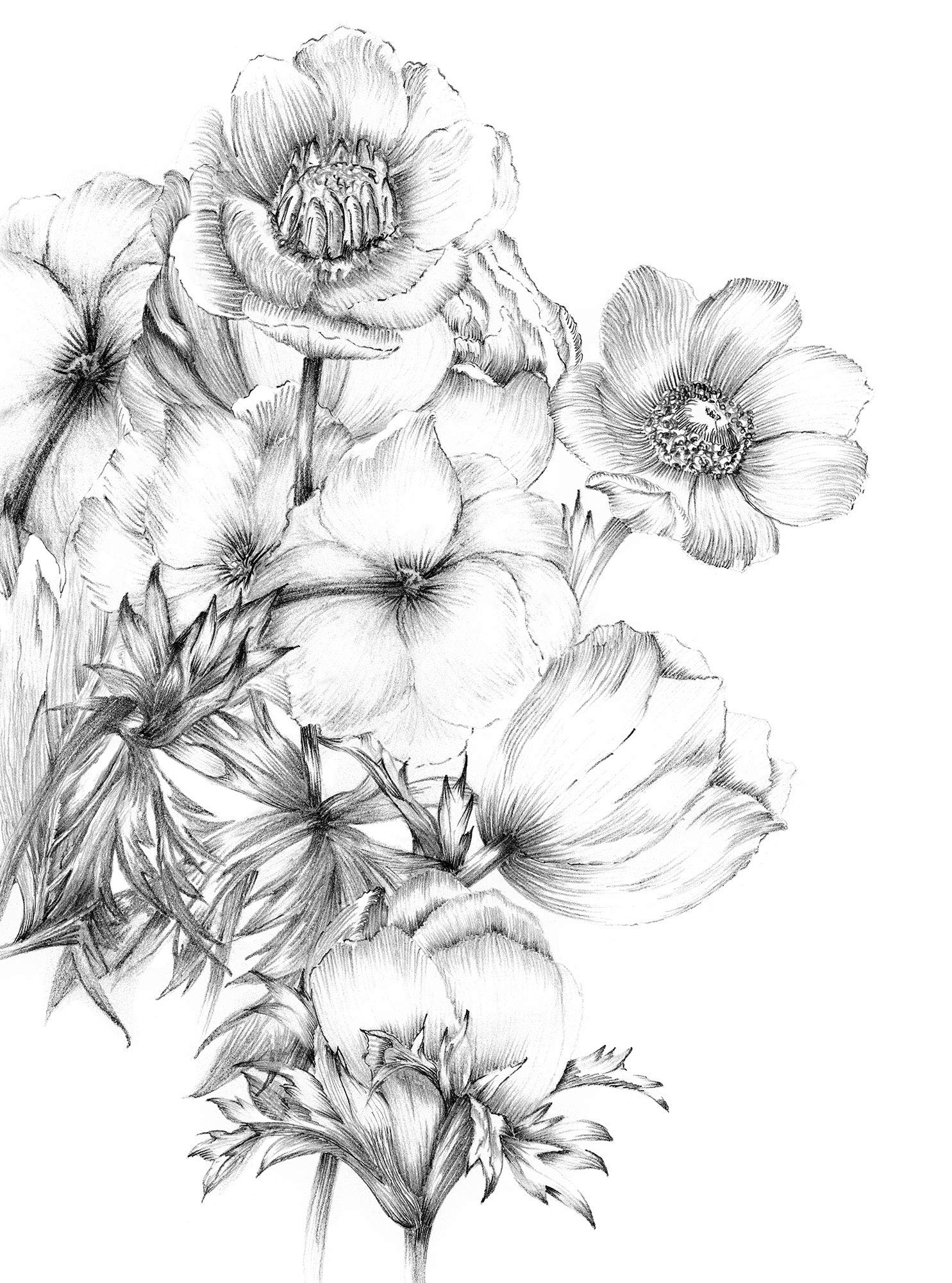 Komar XXL2-1035 Non-Woven Photo Wallpaper Embroidery Size: 184 x 248 cm 2 Sheets Flower Motif Wallpaper Decoration Wallpaper Wall Covering Design Wallpaper