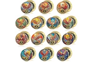 Blueweenly 14 Pcs Aa Sobriety Coins Bulk Gifts, Sobriety Chip 24 Hour Newcomer 1-11 Month Aa Recovery Coin Tokens for Alcoholics Anonymous Sober Anniversary Gift for Men and Women Christmas(Phoenix)