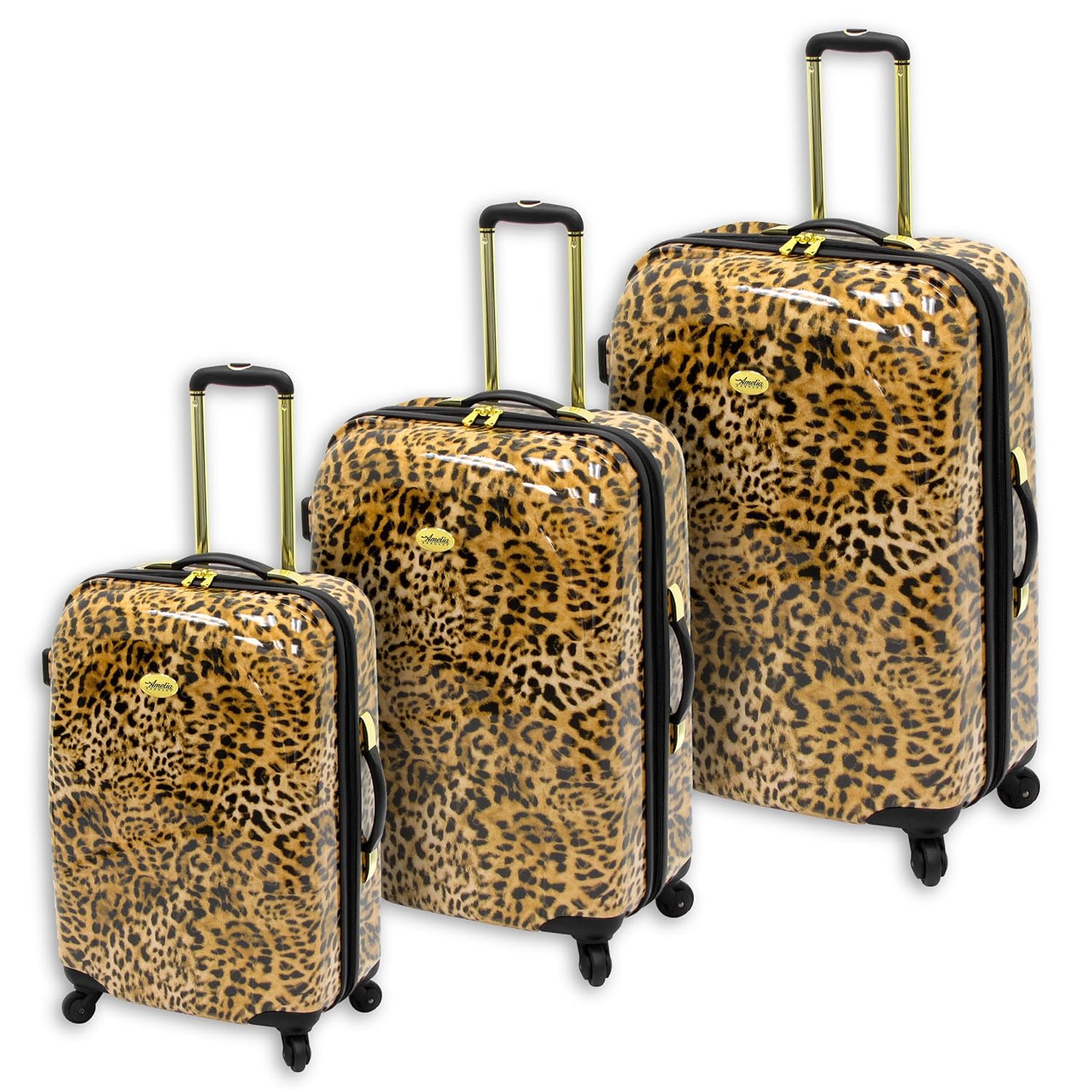 amelia earhart luggage set