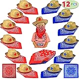 JOYIN Toy Pack of 12 Childs Straw Cowboy Hats with Cowboy Bandannas (6 Red & 6 Blue) Party Favors