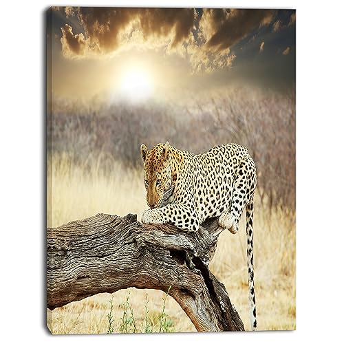 Designart PT12872-12-20 Leopard Relaxing on Tree-African Canvas Artwork, 20" H x 12" W x 1" D 1P - Amazon deal for $40.54