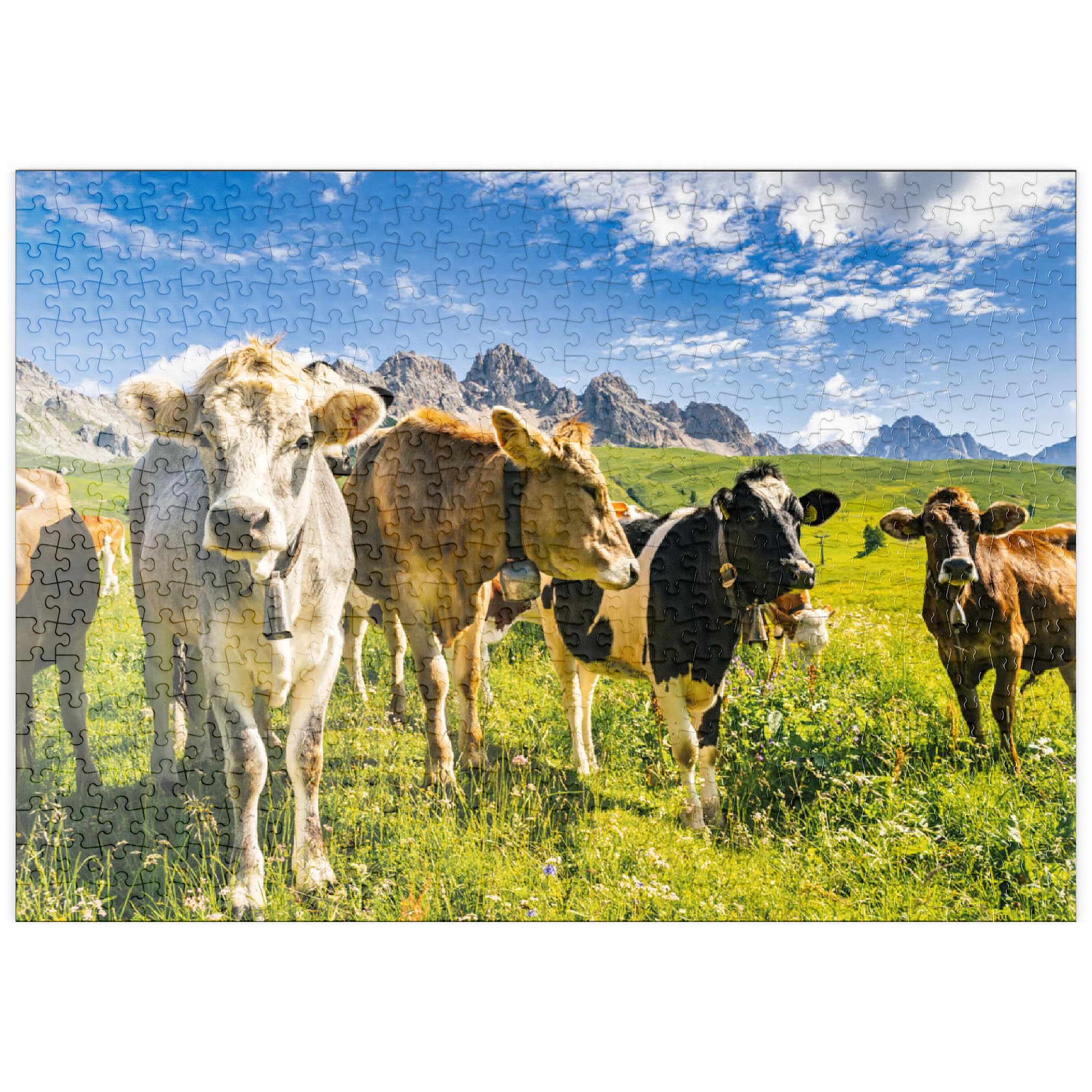 Cows In Front Of An Idyllic Alpine Landscape - Premium 500 pieces Puzzle - MyPuzzle special collection from Puzzle Galaxy