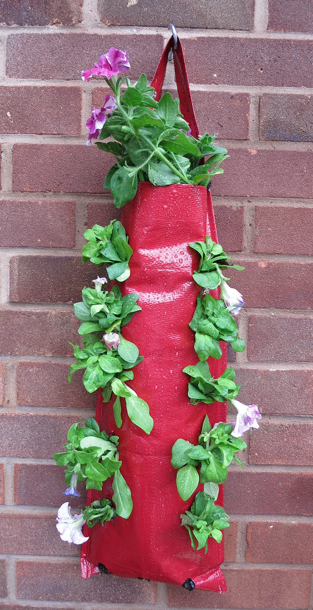 Bowry's Red Hanging Strawberry Flower Bag Planters - Pack of 2 (Red)