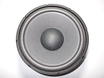 100w speaker price