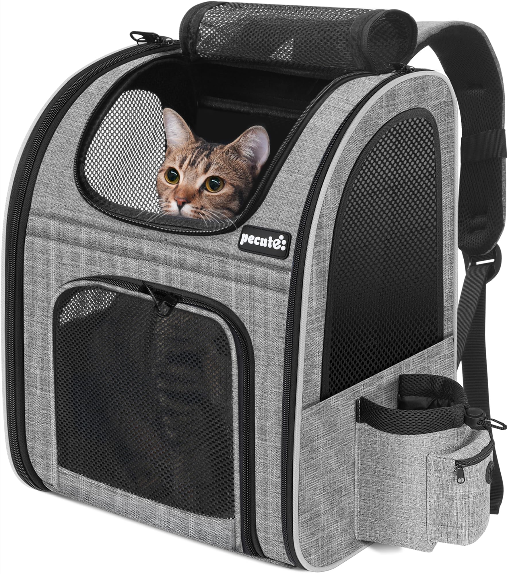Pecute Cat Carrier Dog Backpack, Portable Breathable Rucksack with Front Opening-Mesh Window-Pockets, Airy Space Great For Carrying Puppy Dogs Cats Up to 8KG — image 1