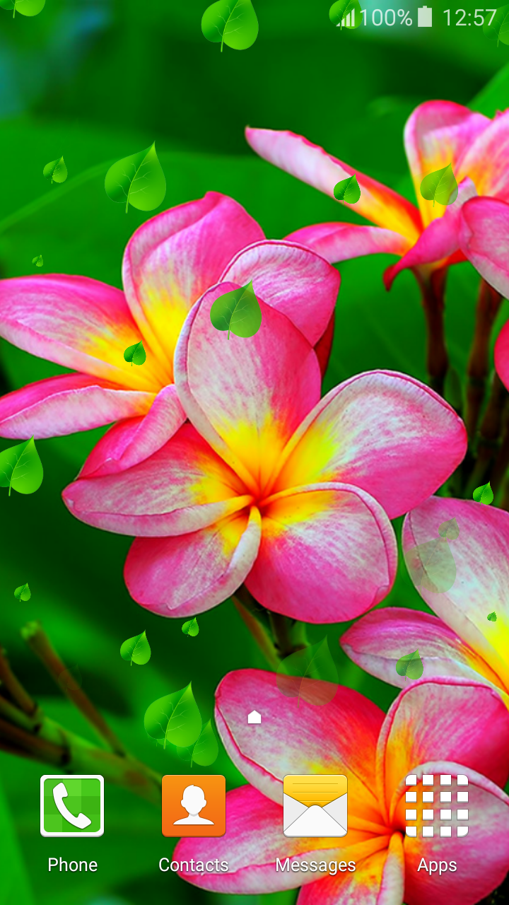 Flowers Live for Android