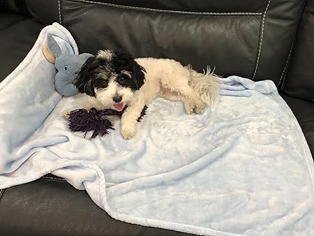 best puppy blankets