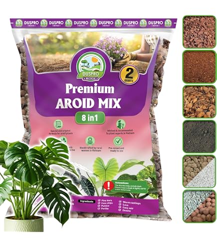 Amazon.com : Premium Aglaonema Plant Soil Mix by Gardenera - Stimulate  Growth and Elevate Leaf Color with Nourishing Formula - 5 Quart : Patio,  Lawn & Garden