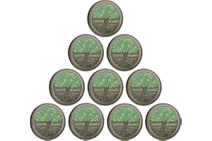 STRUGGLEJEWELRY Rooted in Christ The Lord is My Rock, My Fortress, My Deliverer Faith-Based Christian Challenge Coin Bible Verse Gift (Pack of 10)