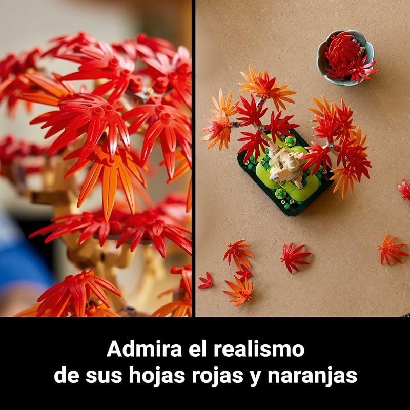 Botanicals Bonsái de Arce Rojo Japonés 10348