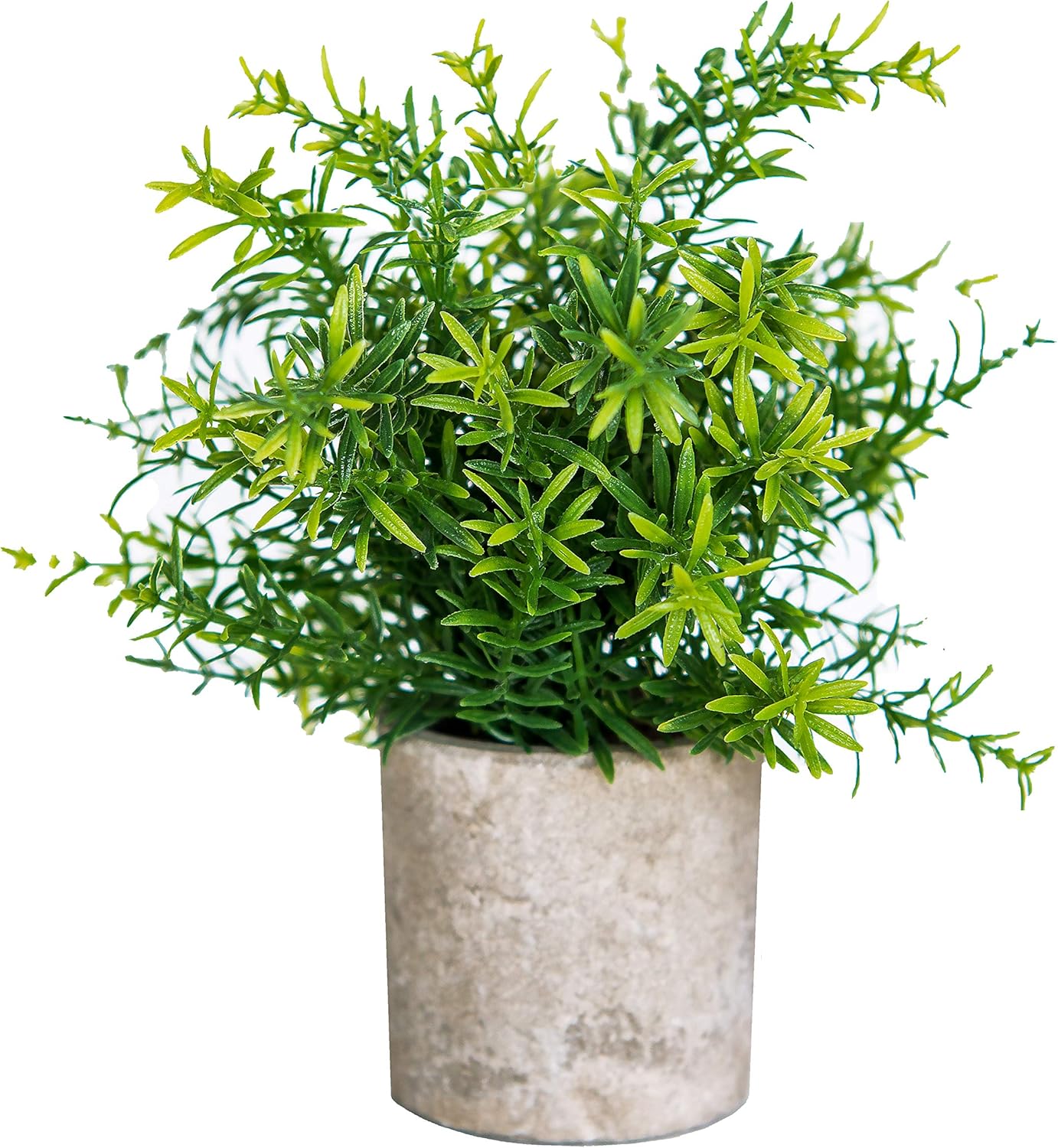 Best Silk Wild Flowers For Outdoors Garden Box