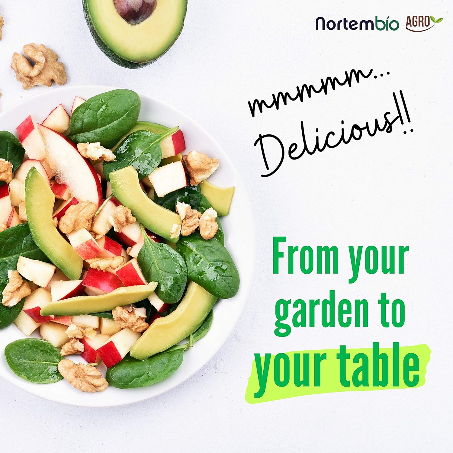 NortemBio Garden Box. Pack Completo para Huerto Urbano. Reductor ...