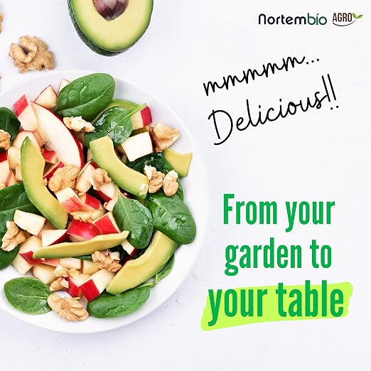 NortemBio Garden Box. Pack Completo para Huerto Urbano. Reductor ...