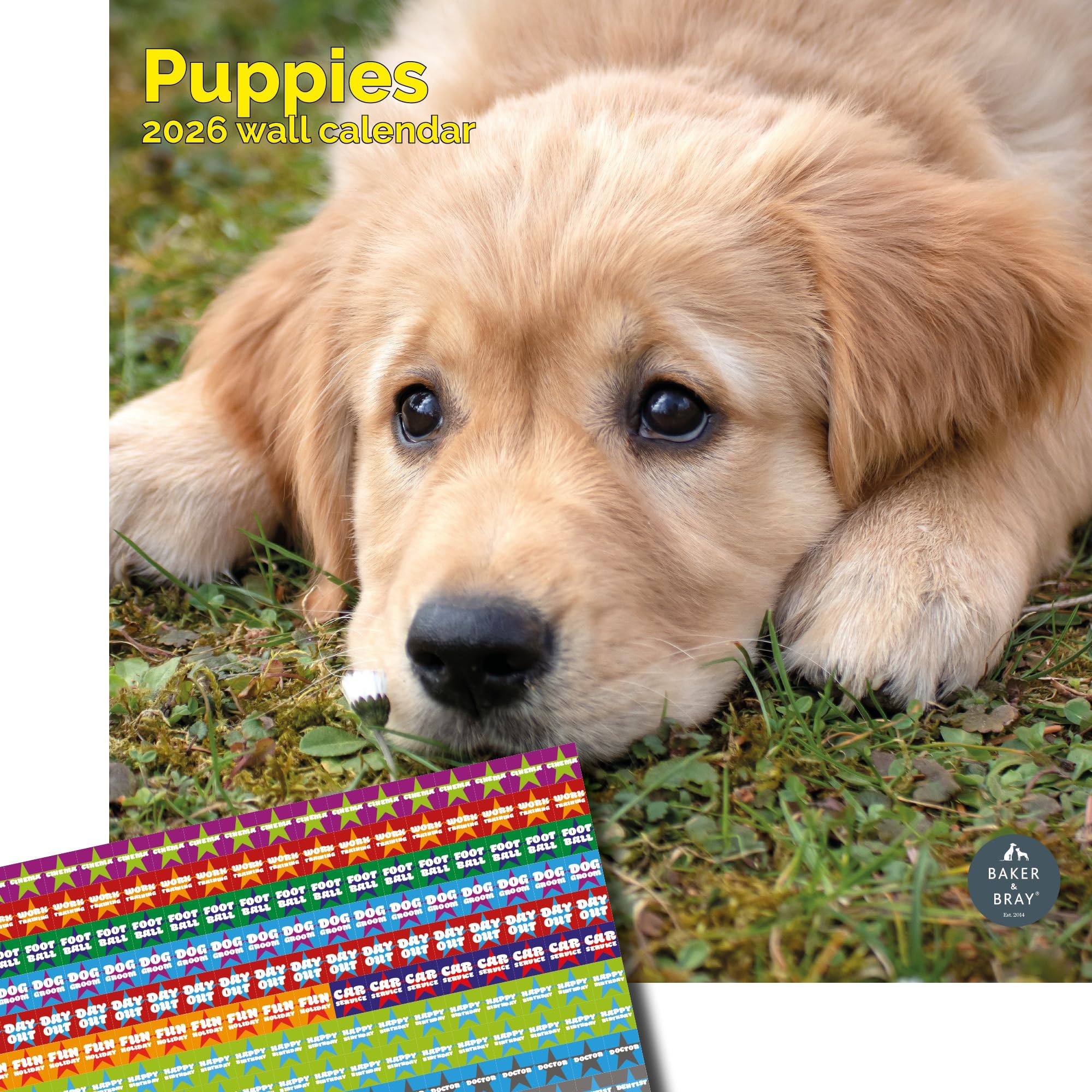 Baker and Bray Puppies Calendar 2026, Large Square Wall Calendar With Organisational Stickers, 16 Month, Puppies Gift Dog Calendar.