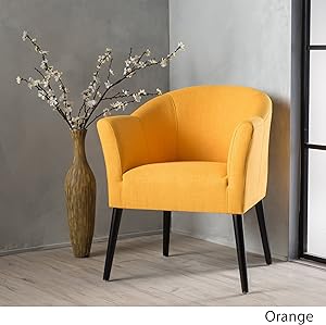 Christopher Knight Home 299473 Cosette Fabric Arm Chair, Orange