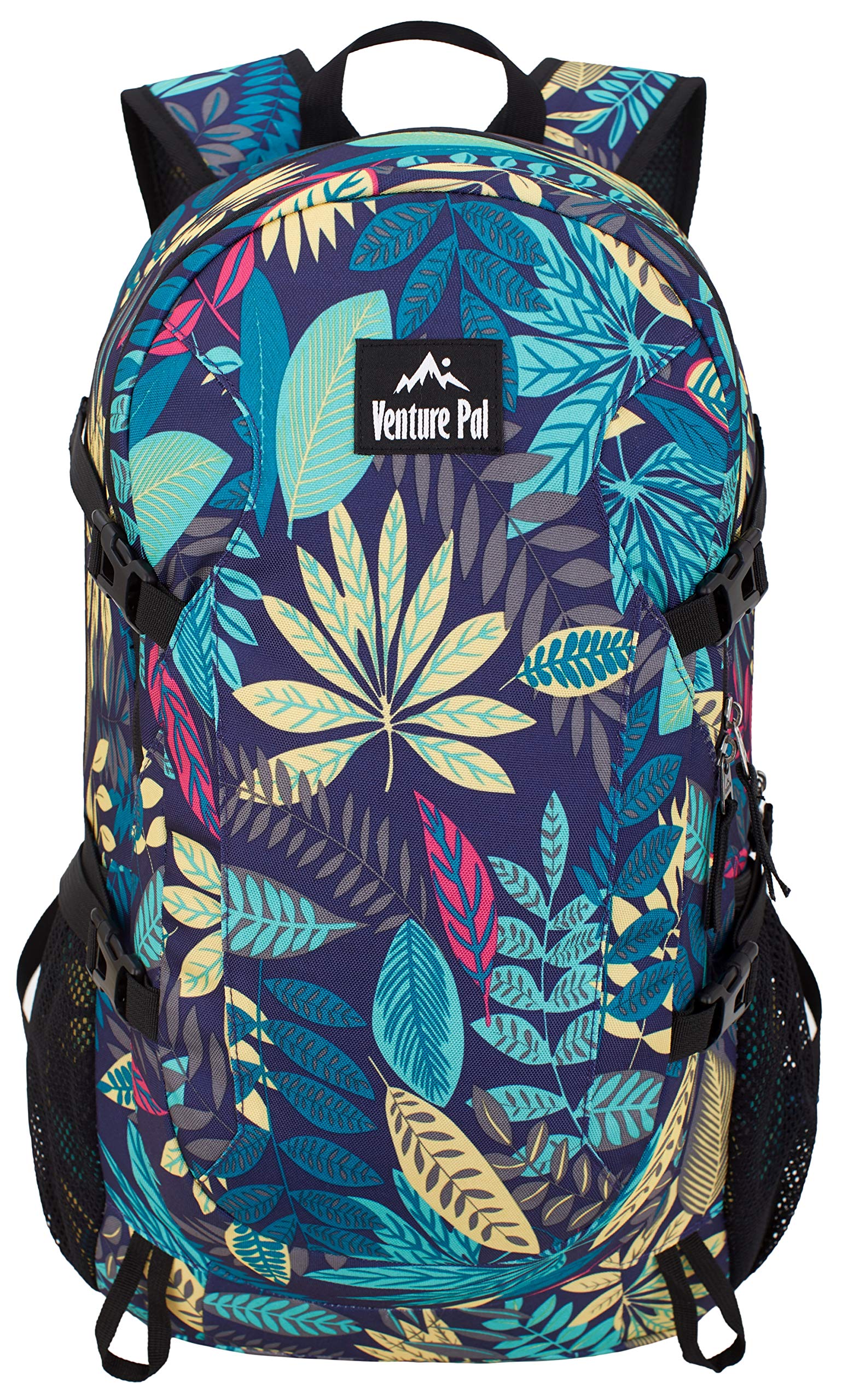venture pal travel backpack
