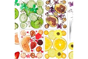 YOUTHBRO 70PCS+ Nature Dried Pressed Fruits Flowers for Resin Mold, Real Dry Pressing Floral Set for DIY Jewelry Making Nail Card Scrapbook Art Craft Fruits Style