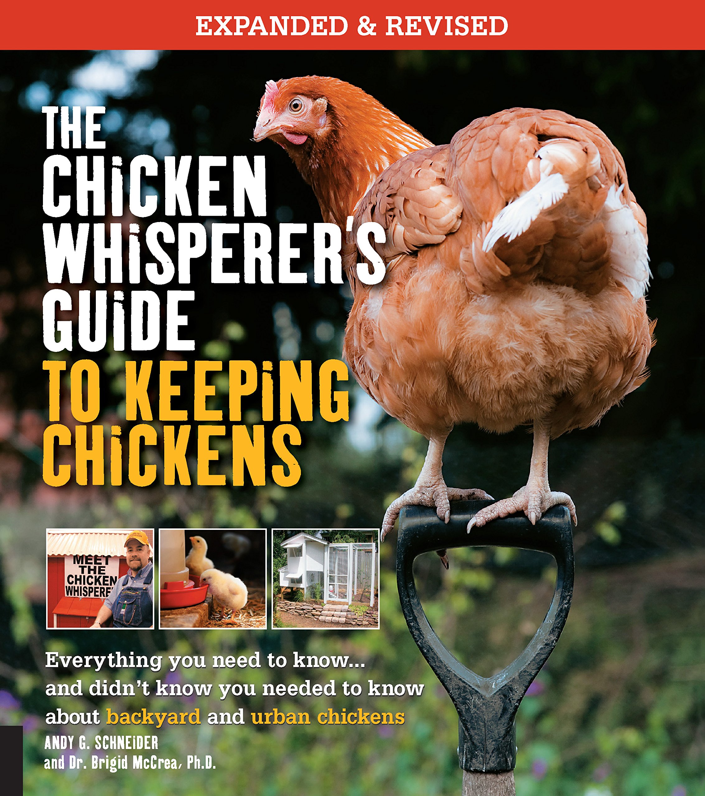 The Chicken Whisperer S Guide To Keeping Chickens Revised