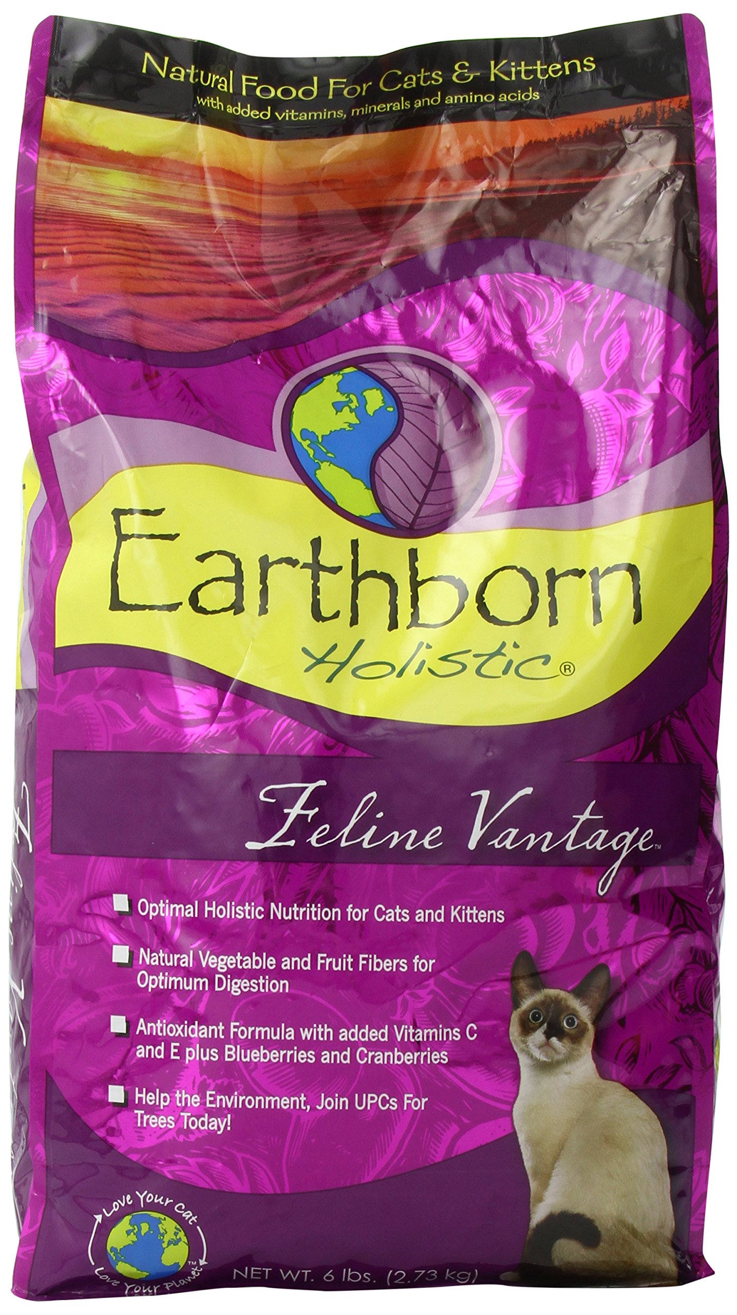 Earthborn Holistic Feline Vantage Natural Dry Cat Food, 6Pound Bag eBay