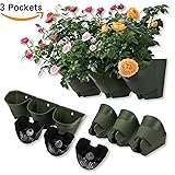 Self watering planters Self watering planters