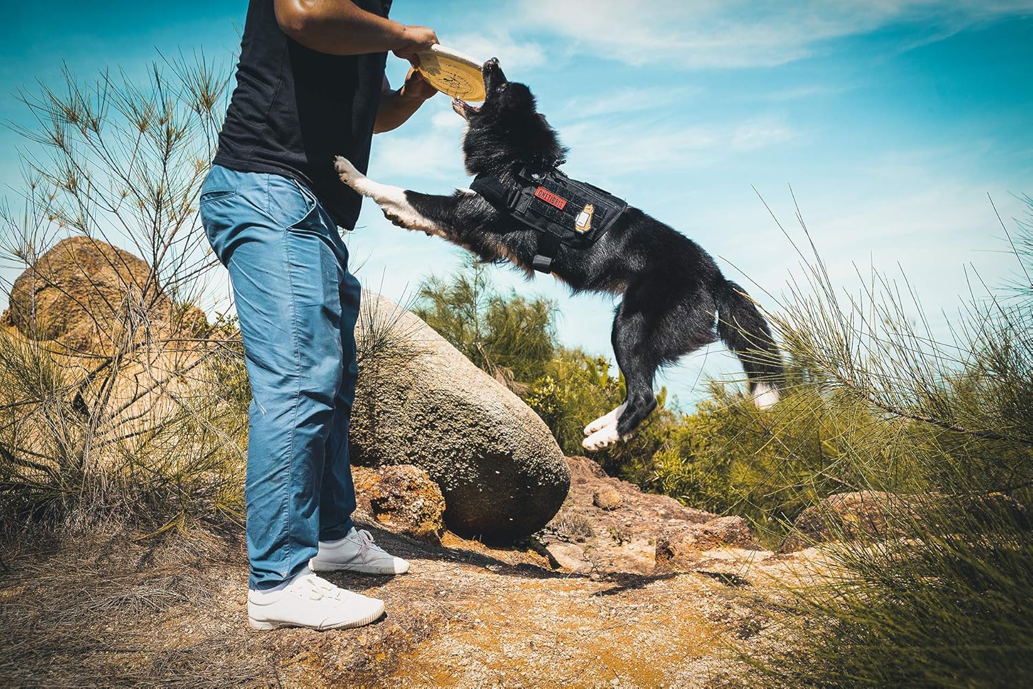 MEHRWEG Verpackung Apollo 09 Taktische Hundeweste Hunde