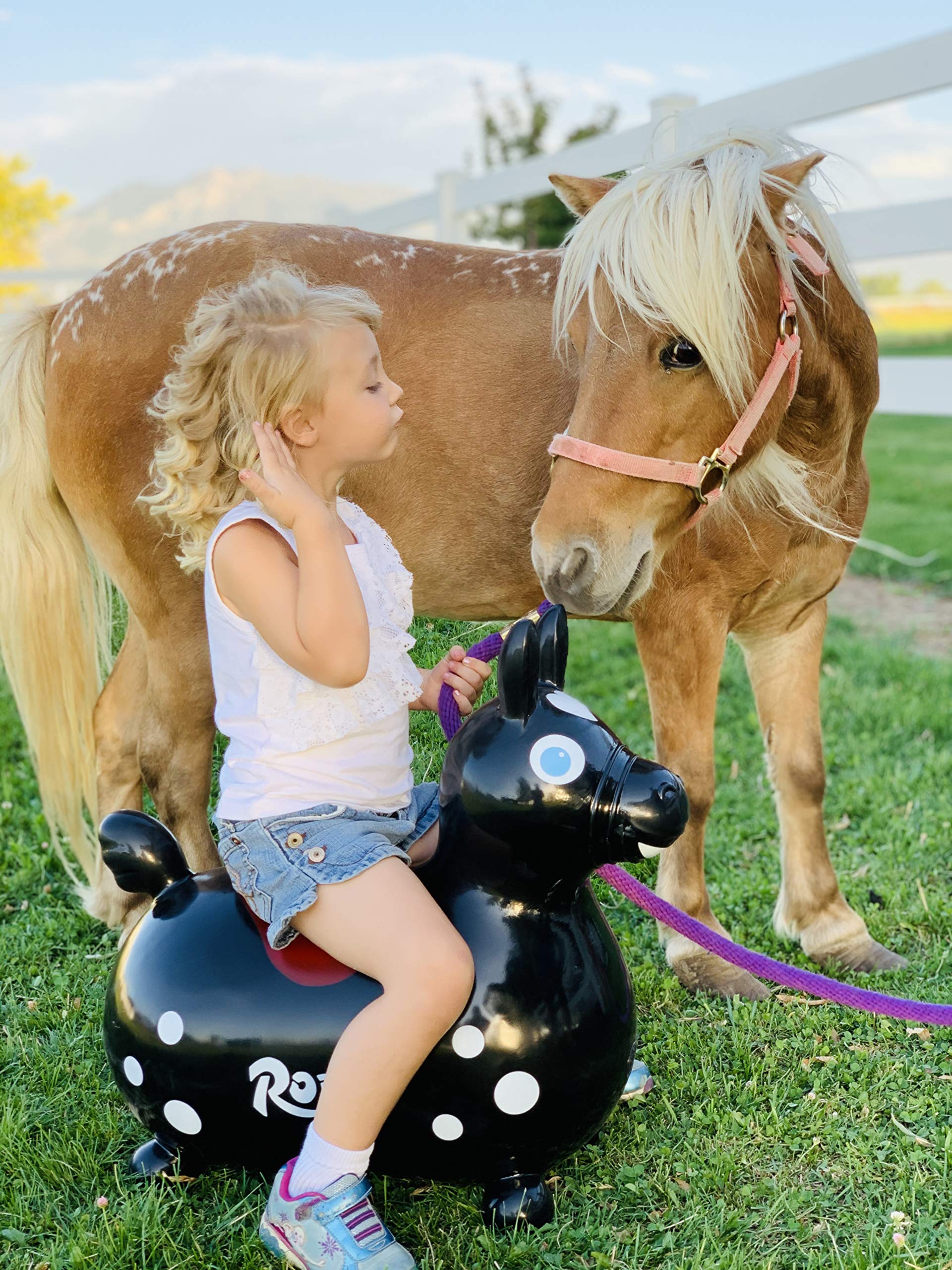 GYMNIC Rody Bounce Horse Black