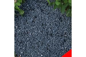Anothera Stones for Plants 18 LB Smooth Natural Black River Rocks, Plant Aquarium Gravel Stones for Succulents Bonsai Terrarium Vase Fillers Fish Tank Indoor Outdoor Garden Decor（6-9 mm）