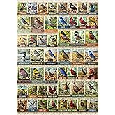 MyPuzzle State Birds Series: 50 State Birds Collage, Vol.1 - Premium 500 Piece Jigsaw Puzzle for Adults
