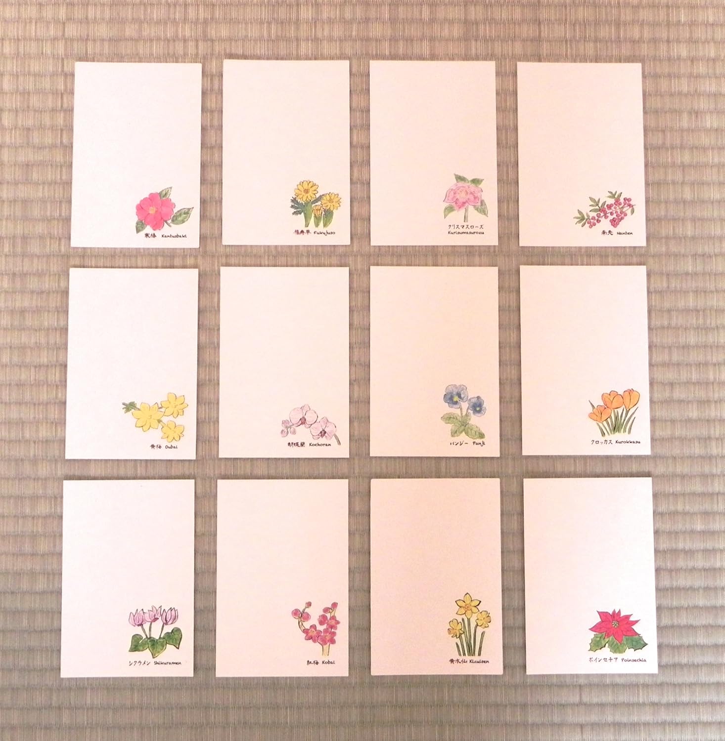 Amazon 日本の花 冬の花 春の花 手づくり絵葉書セット パンジー カトレア クリスマスローズ 3枚入 牛乳パック100 再生板紙 ミルパックス 年賀状 寒中見舞い 余寒見舞い 挨拶状 転居はがき ポストカード ポストカード 絵柄付はがき 文房具 オフィス用品