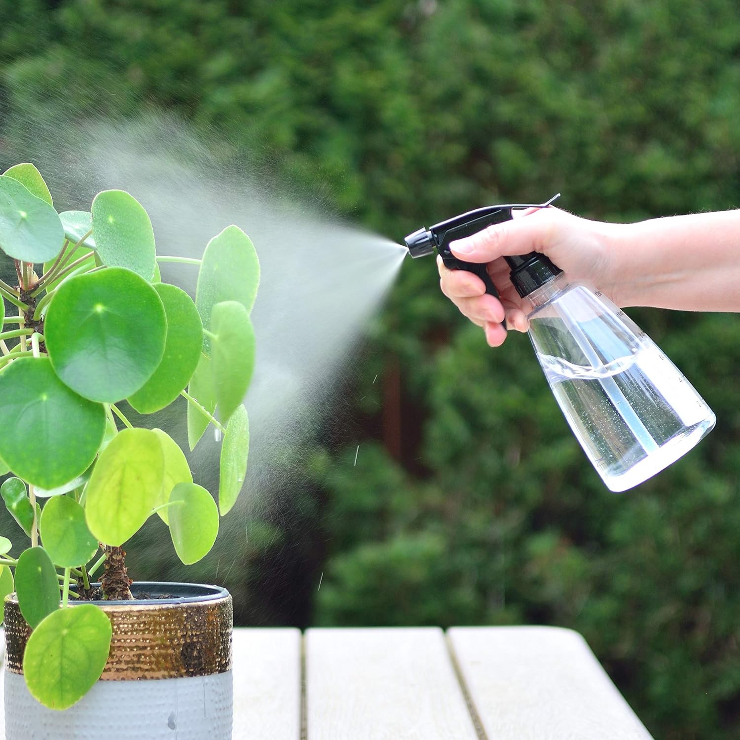 Bottles Spray 8oz Bottles Spray Plastic Empty Clear Pack 6 Youngever For Solutions Cleaning And Hair Travel Bottles Containers Cheap Designer Brands Escac Com