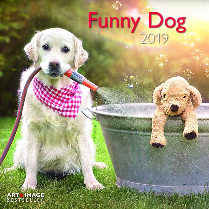 Kalender 2018 Hunde larador Lustige mit Poster Funny Hund Golden
