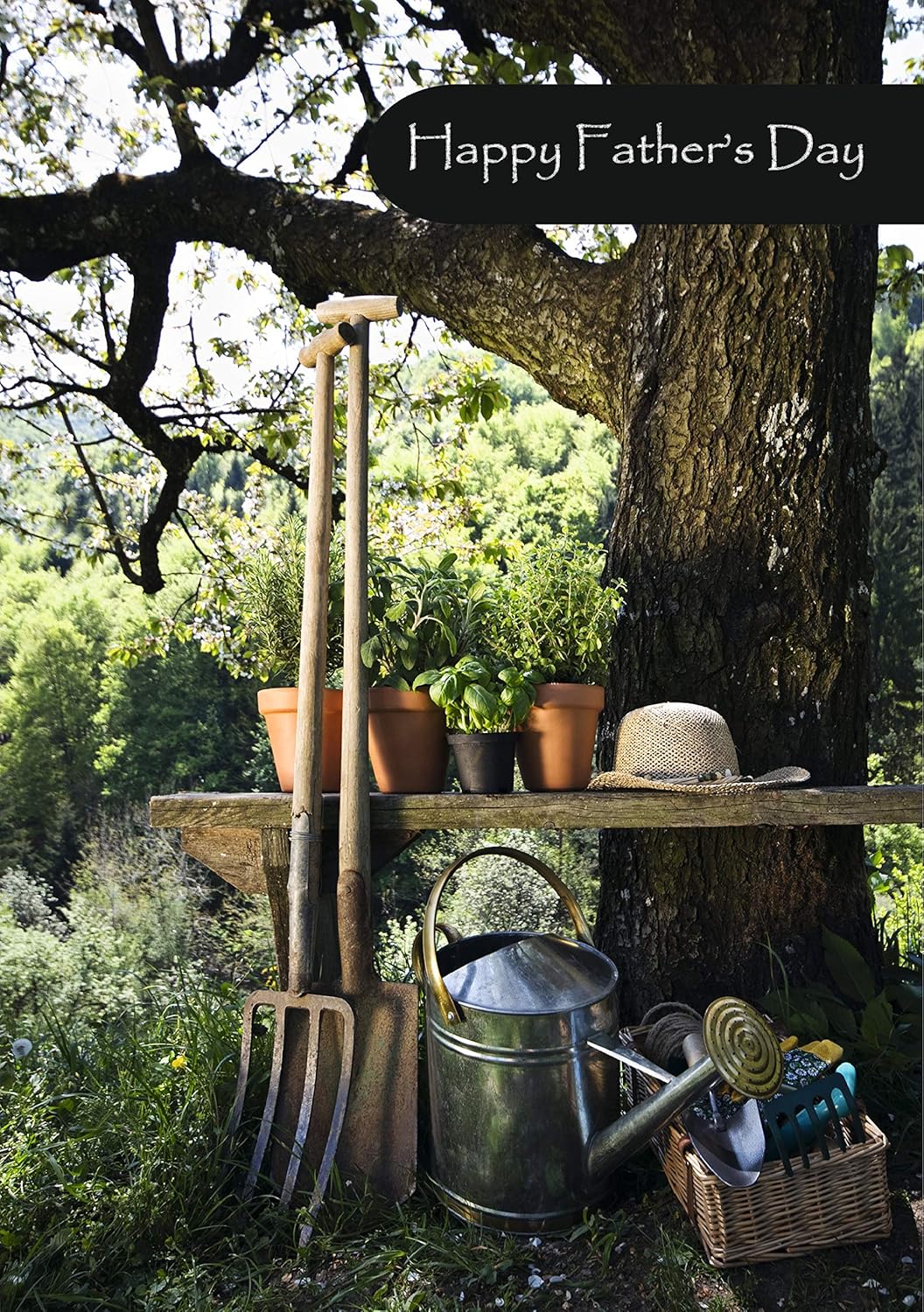 fathers day gardening