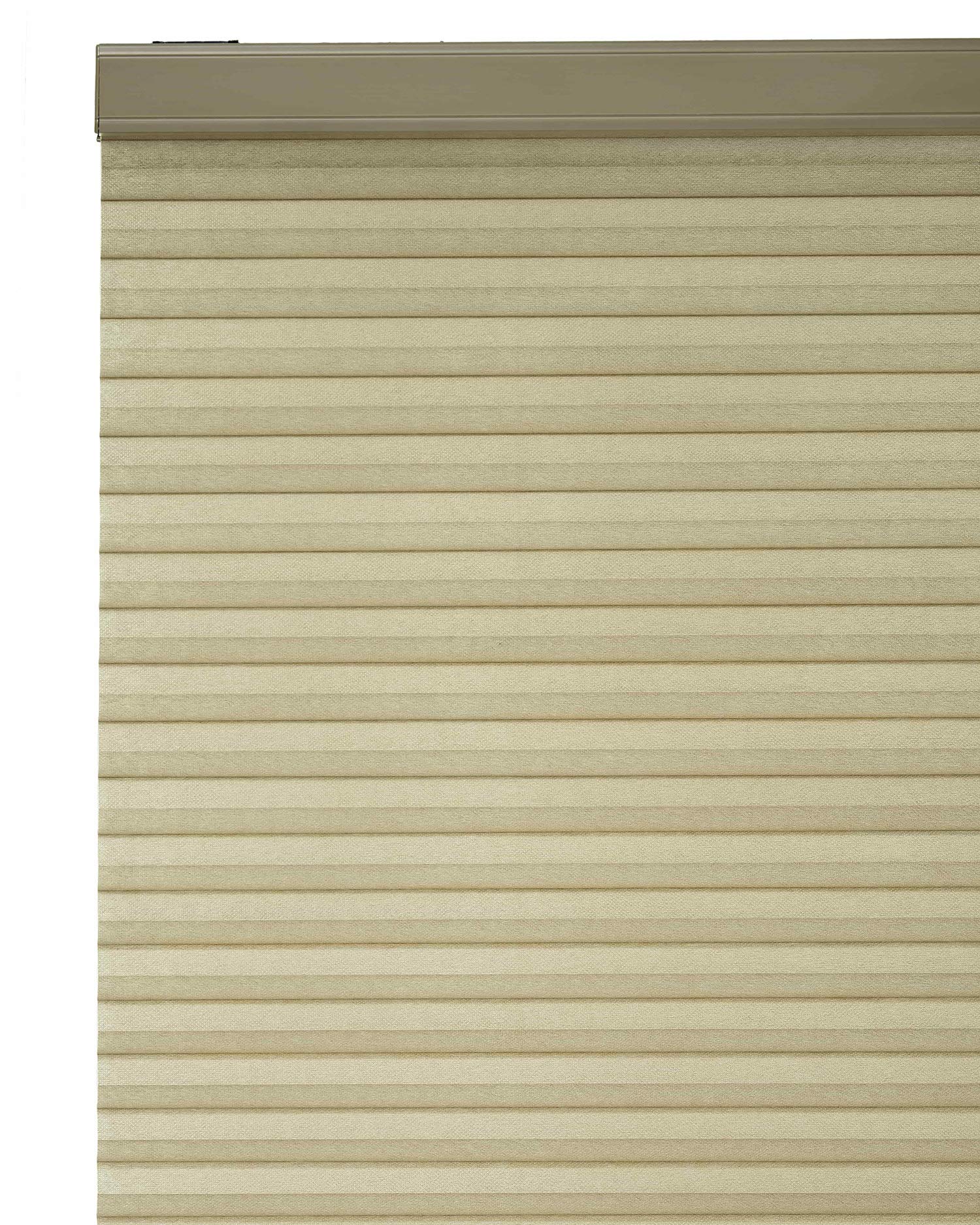 https://images-na.ssl-images-amazon.com/images/I/91Y2yjtND6L.jpg