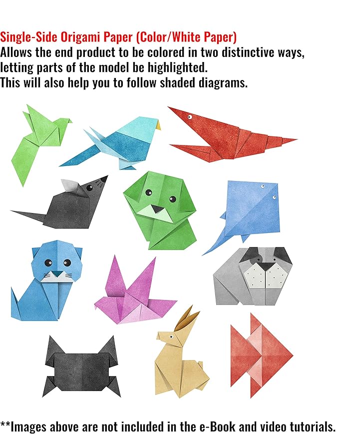 Amazoncom Craft Haven 15x15cm Double Sided And Single