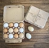 Vintage Blank Egg Cartons- Classic 3x4 Style Holds