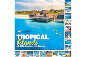 FETEULO Calendar 2024-2025 - Wall Calendar 2024-2025, 18 Months Calendar, JUL 2024 - DEC 2025, 12" x 24" (Open), 12" x 12" (Closed), Calenar with Daily Blocks